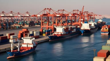 Maritime & Shipping Lines